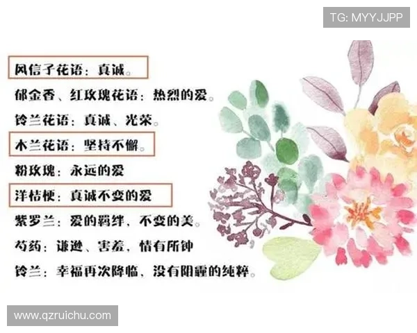 科学运动提升睡眠质量与身心健康的全方位指南实践策略与方法解析 - 副本 (2) - 副本 科学运动提升睡眠质量与身心健康的全方位指南实践策略与方法解析 - 副本 (2) - 副本